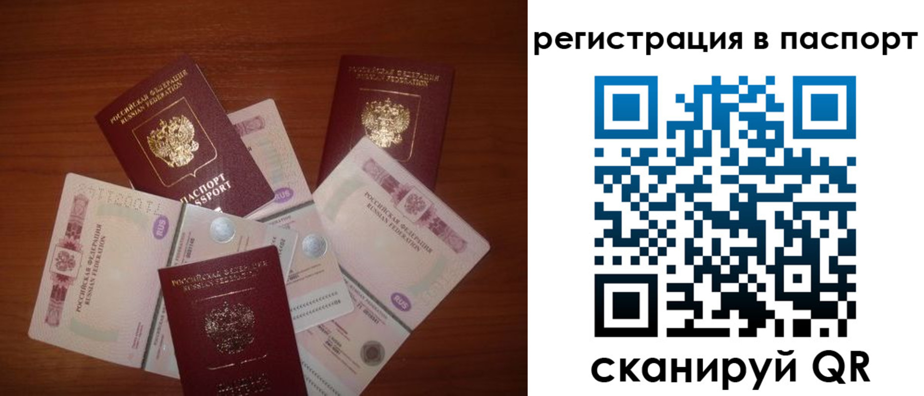 временная регистрация поиск в Тихорецке